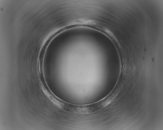 X0000056371080200508291354