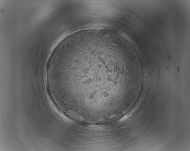 X0000056371083200508291354