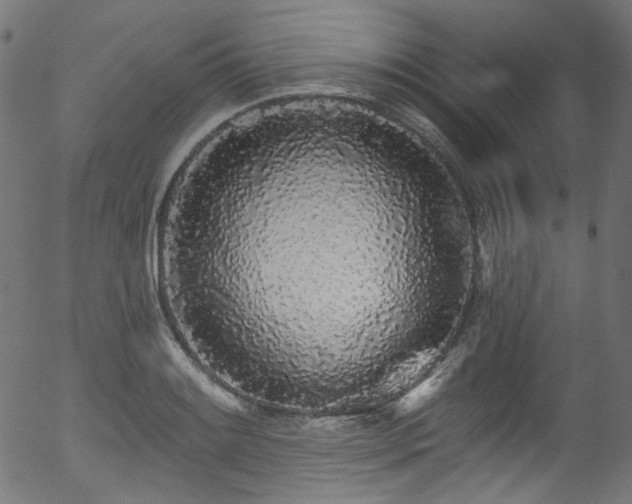 X0000056371084200508291354