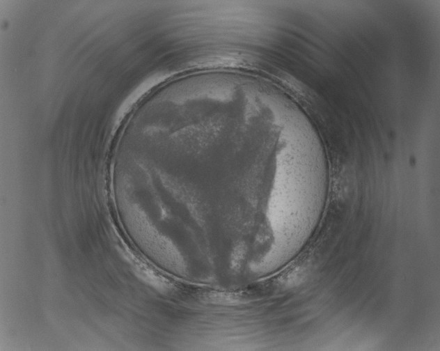 X0000056371086200508291354