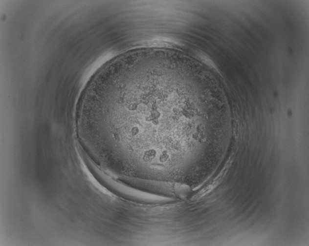 X0000056371087200508291354