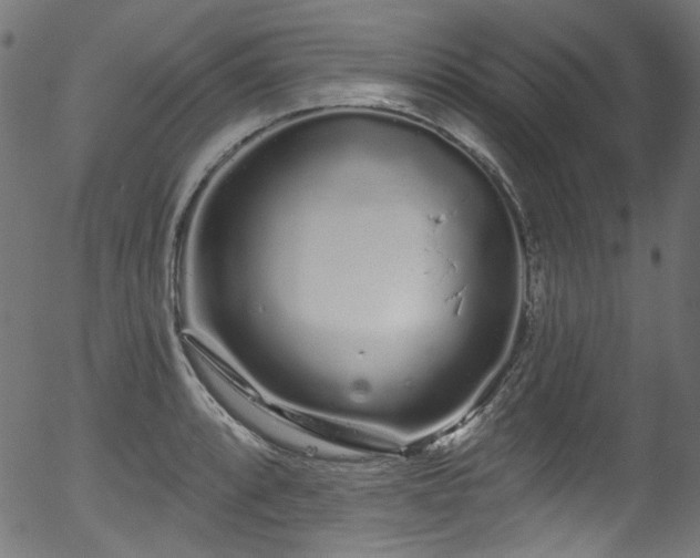 X0000056371088200508291354