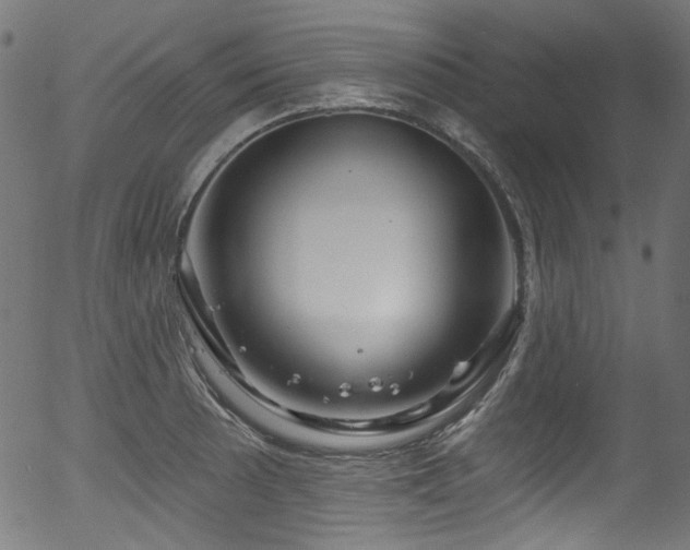 X0000056371089200508291354