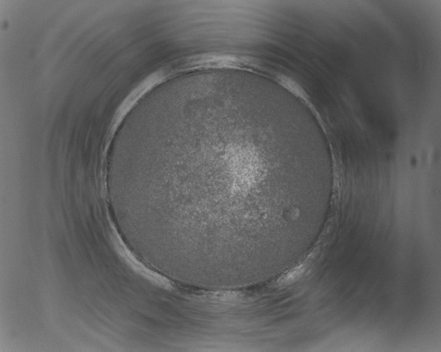 X0000056371090200508291354