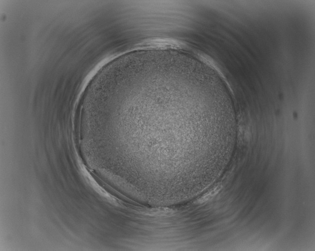 X0000056371091200508291354