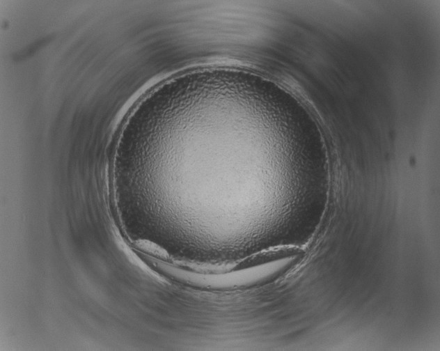 X0000056371092200508291354