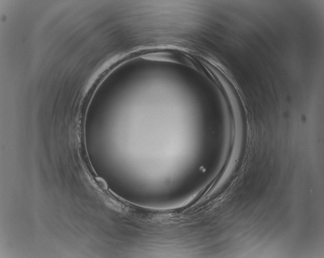 X0000056371093200508291354