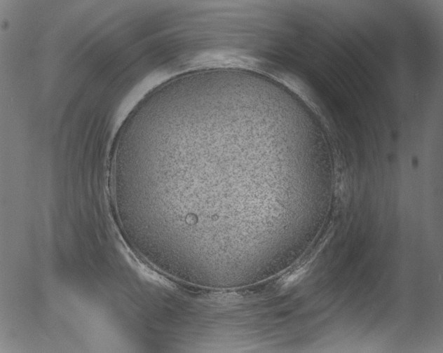 X0000056371094200508291354