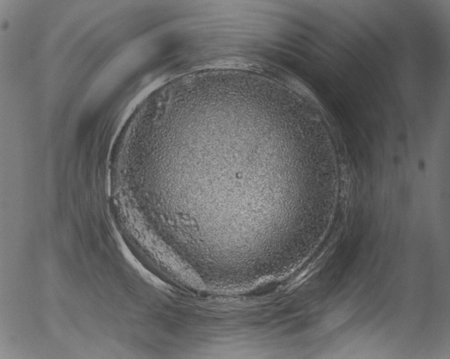 X0000056371095200508291354