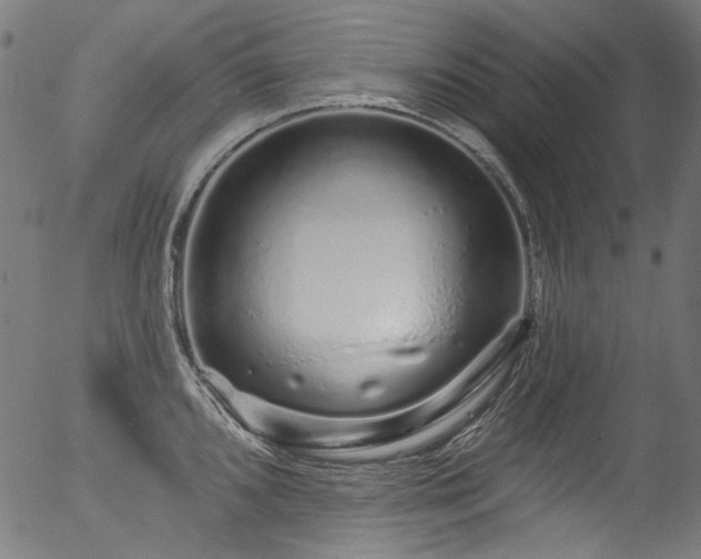 X0000056371096200508291354