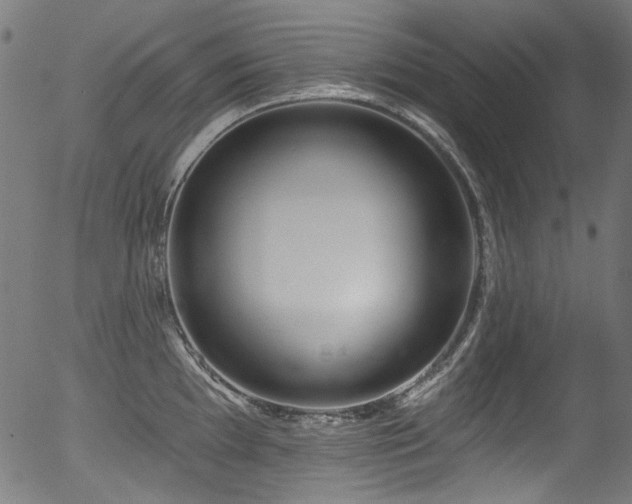 X0000056371097200508291354