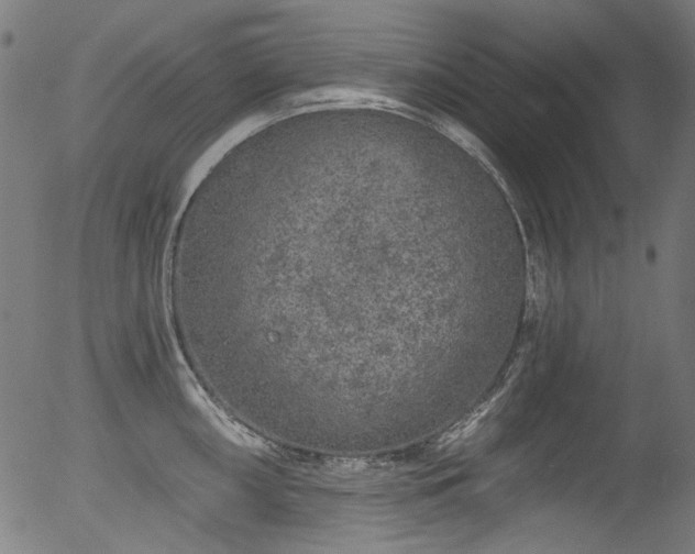 X0000056371098200508291354