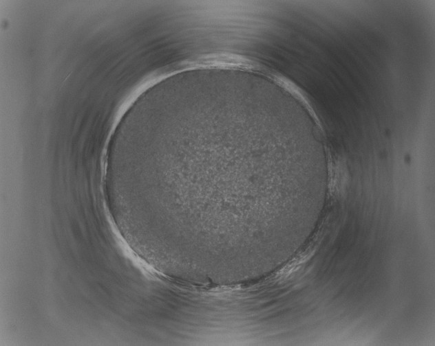 X0000056371099200508291354