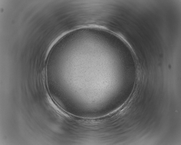 X0000056371100200508291354