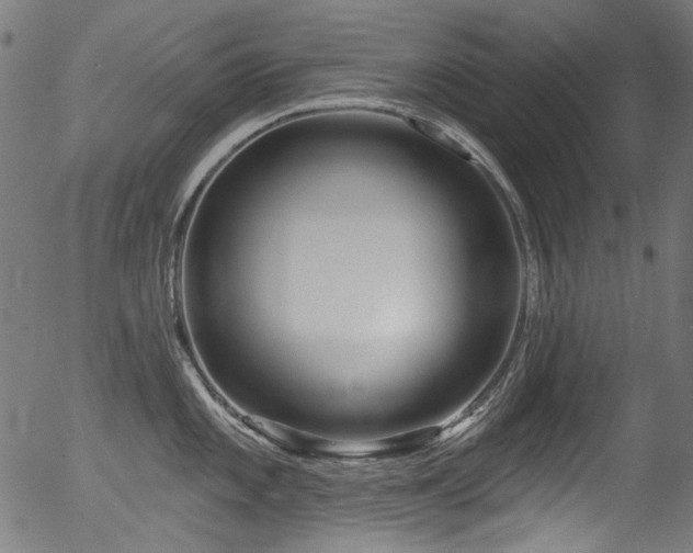 X0000056371101200508291354