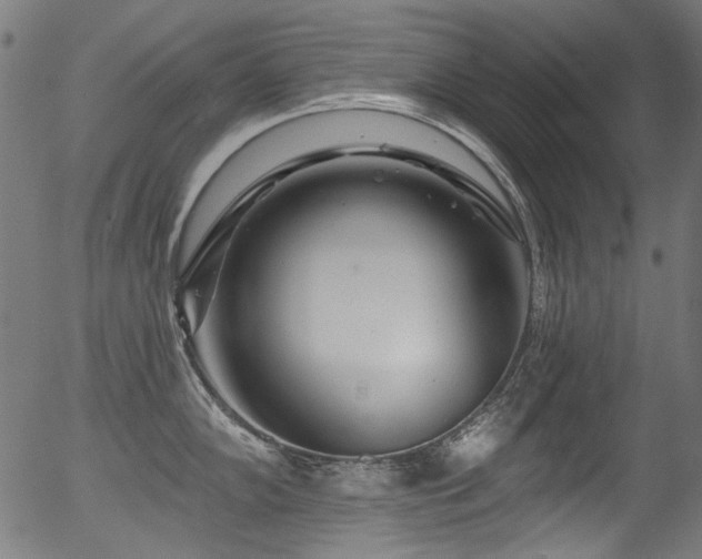 X0000056371102200508291354