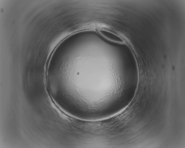 X0000056371103200508291354