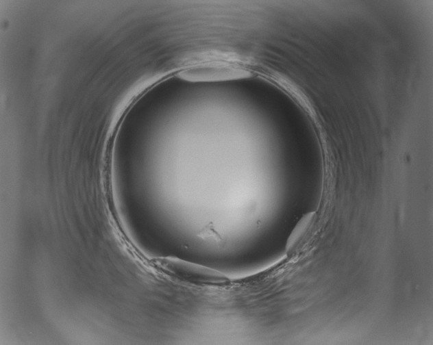 X0000056371104200508291354