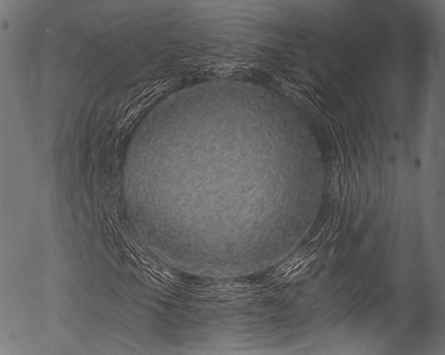 X0000056371105200508291353