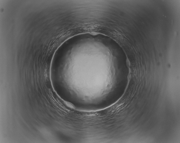 X0000056371106200508291353