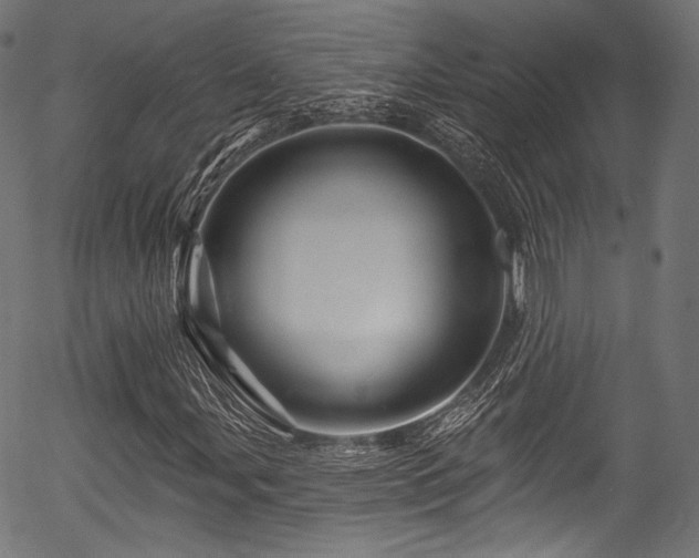 X0000056371107200508291353