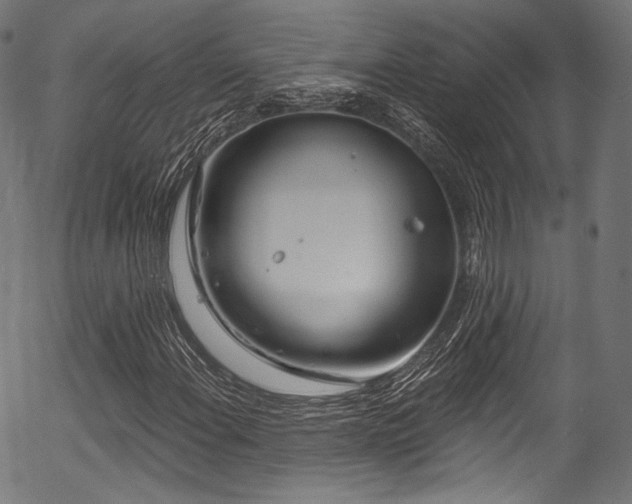 X0000056371108200508291353