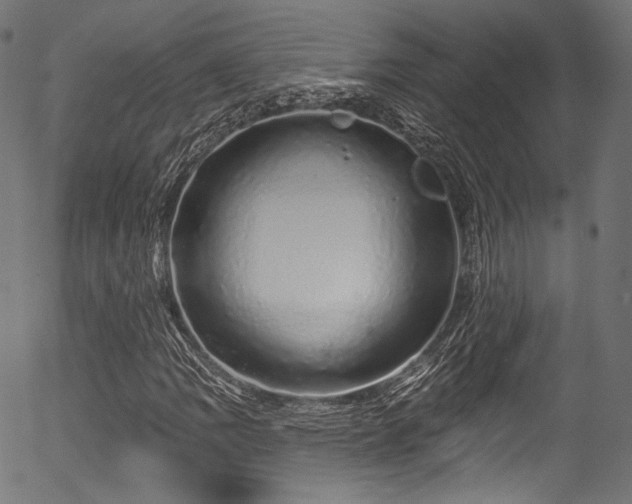 X0000056371109200508291353