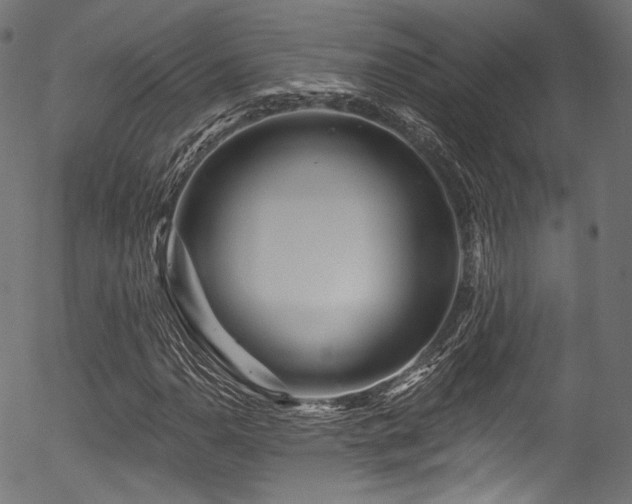 X0000056371110200508291353