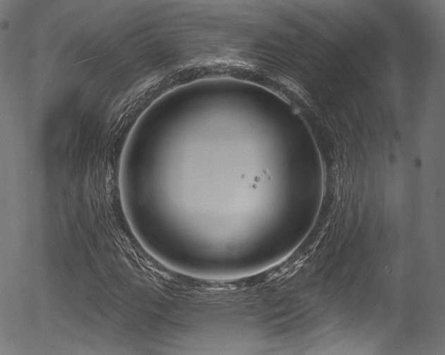 X0000056371111200508291353