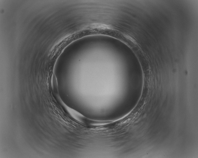 X0000056371112200508291353