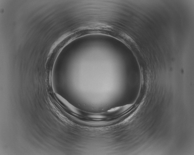 X0000056371114200508291353