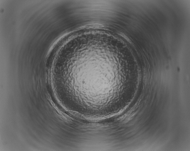 X0000056371115200508291353