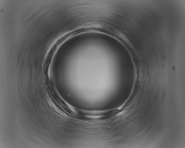 X0000056371116200508291353