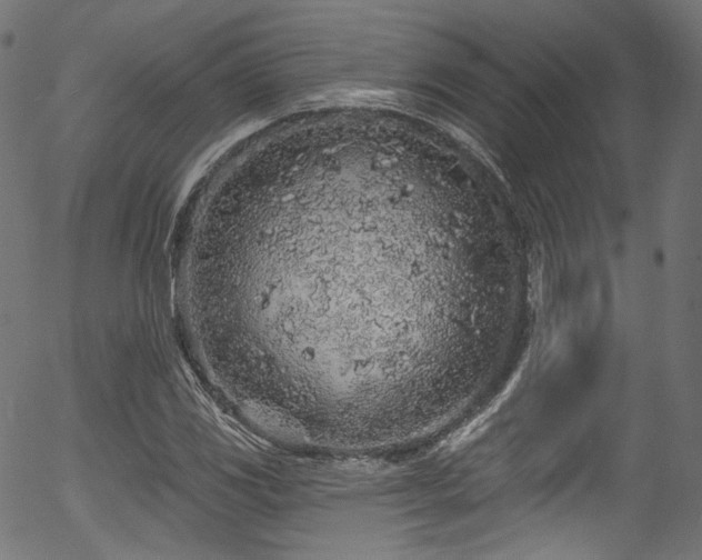 X0000056371117200508291353