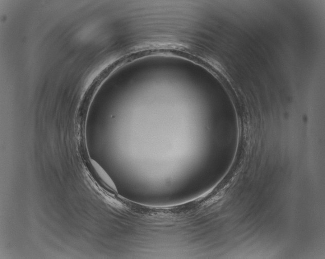 X0000056371119200508291353