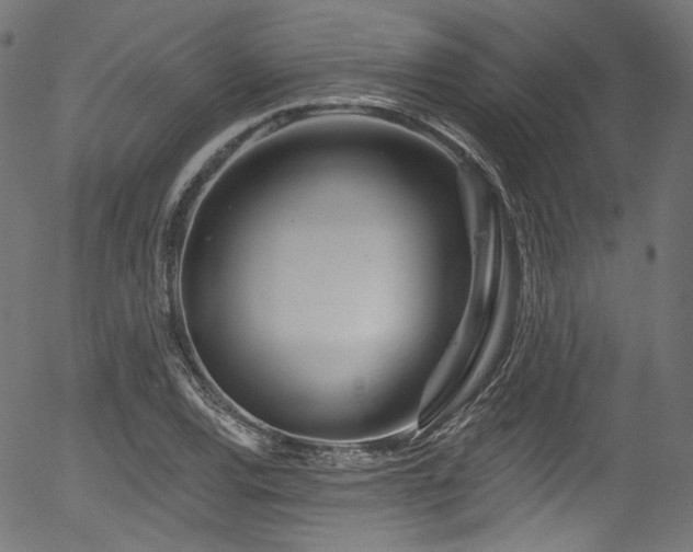 X0000056371120200508291353