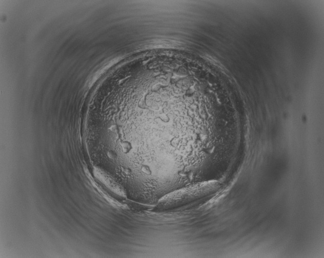 X0000056371121200508291353