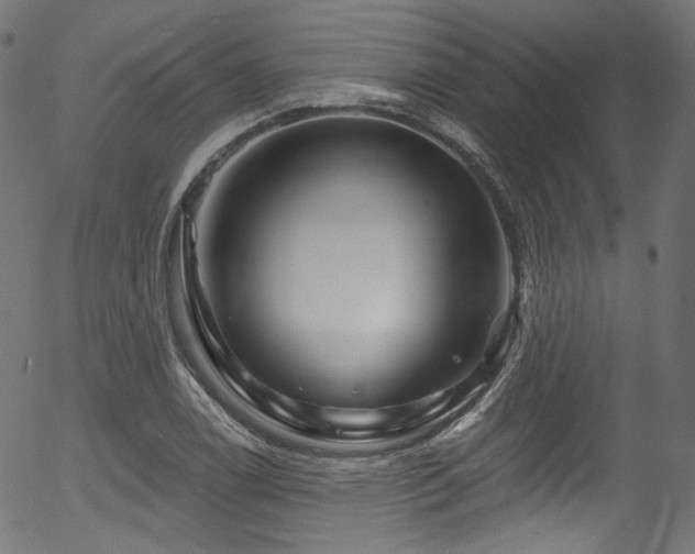 X0000056371122200508291353