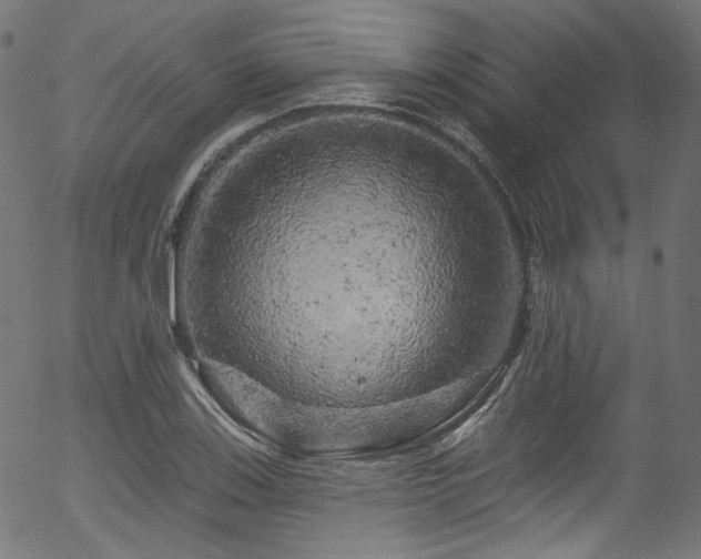 X0000056371123200508291353