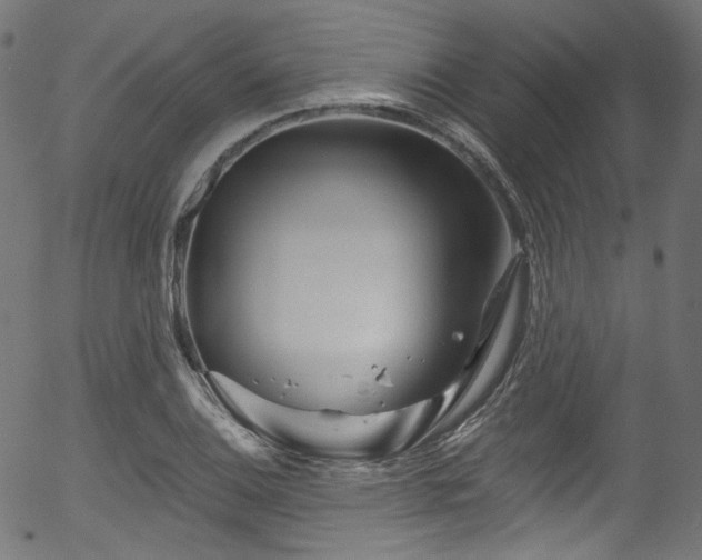 X0000056371124200508291353