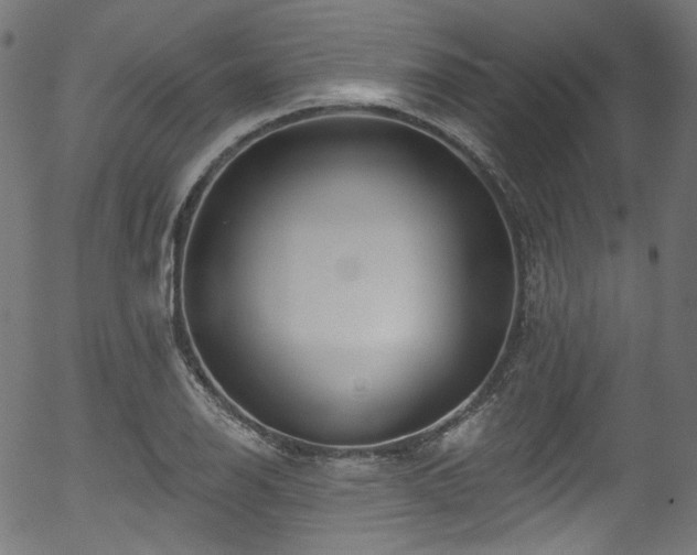 X0000056371126200508291354