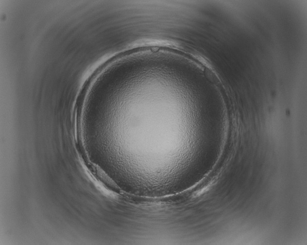 X0000056371127200508291354