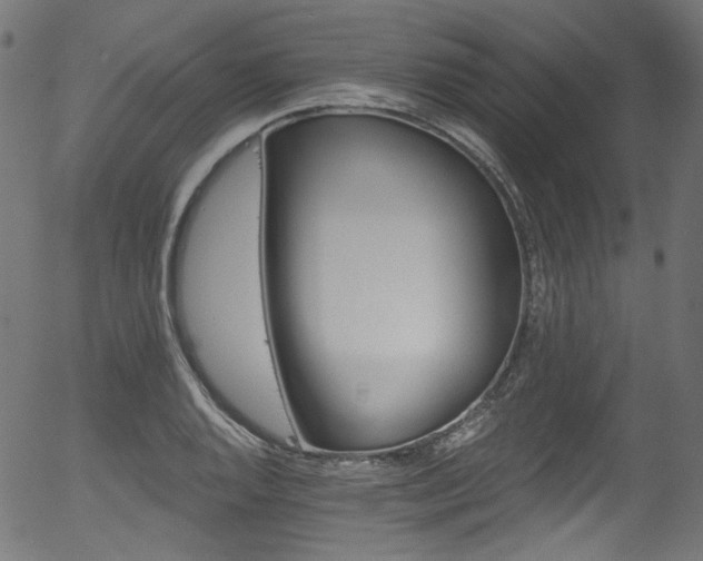 X0000056371128200508291354