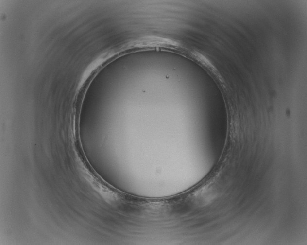 X0000056371130200508291354