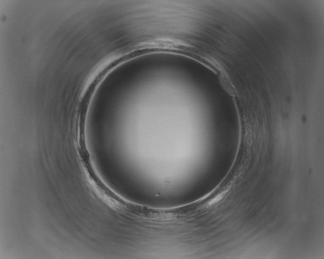 X0000056371131200508291354