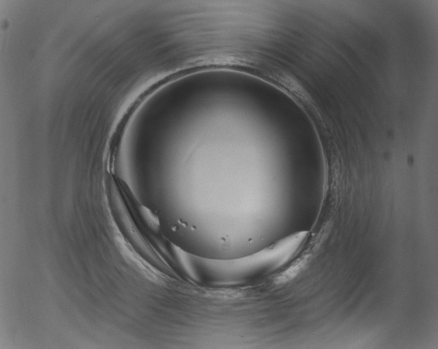 X0000056371132200508291354