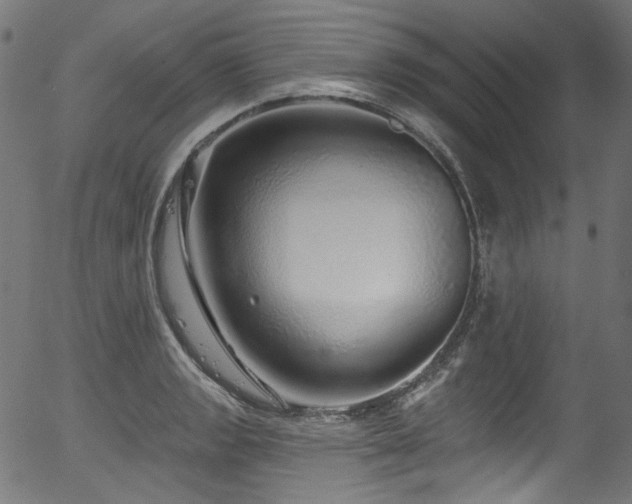 X0000056371133200508291354