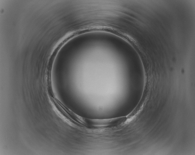 X0000056371134200508291354