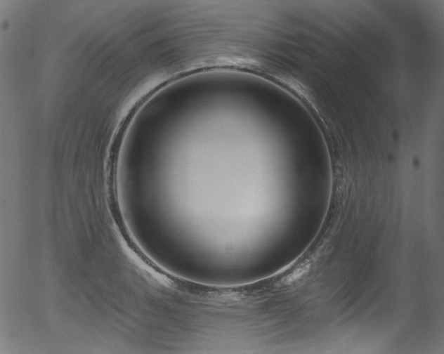 X0000056371135200508291354