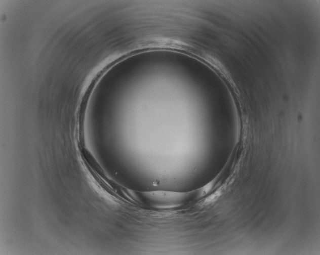 X0000056371136200508291354